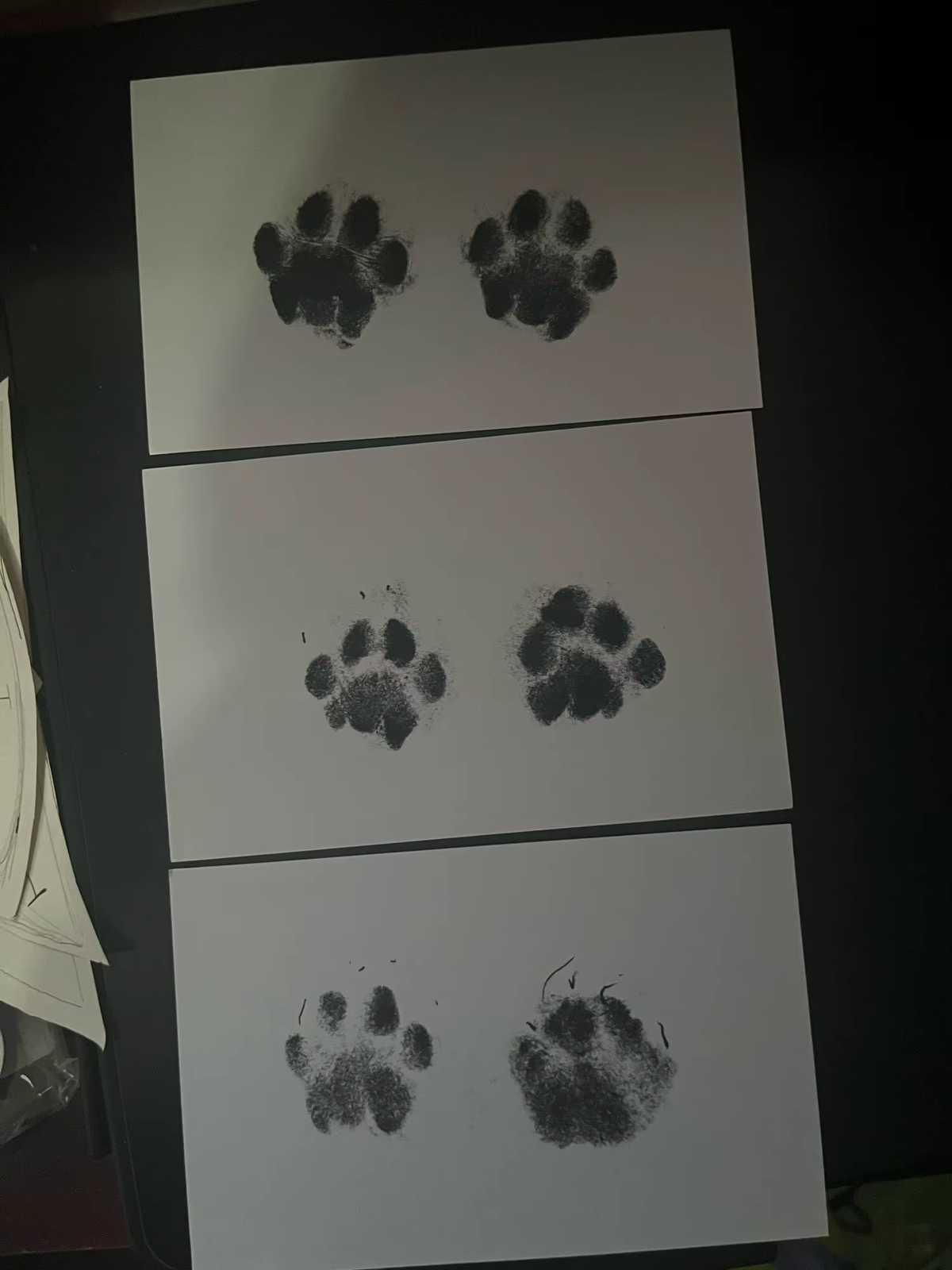 Inkless paw print pad with example hand and paw impressions