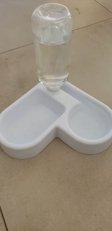 Black-and-white pet drinking from the automatic water bowl